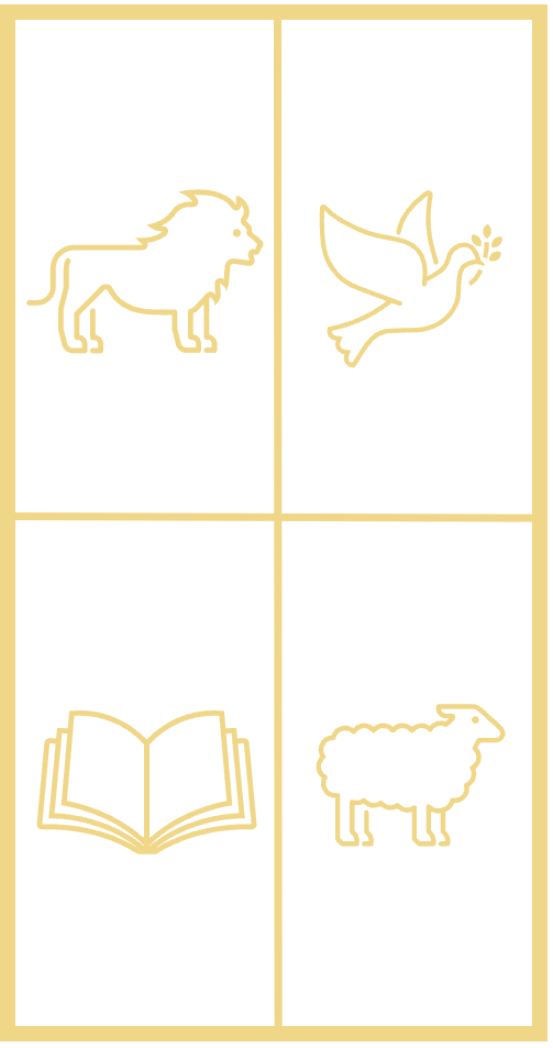 IOS